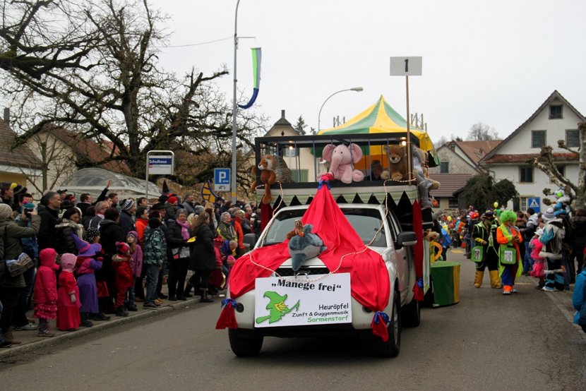 Sarmenstorf Fasnachtsumzug 16.02.2014 (3)